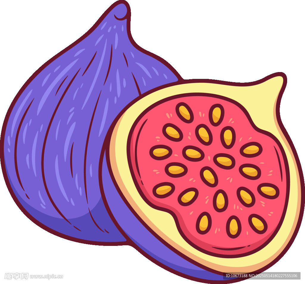 卡通无花果插画