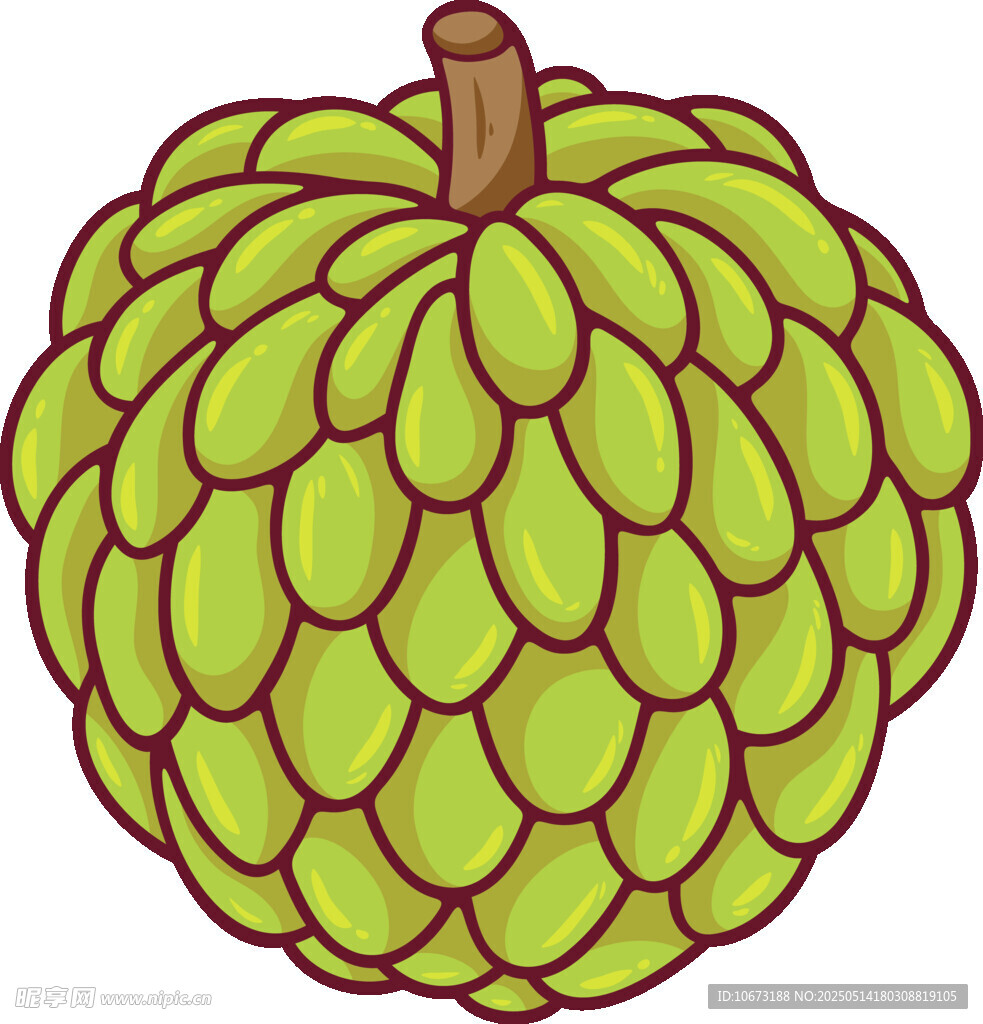 卡通风格释迦果插画
