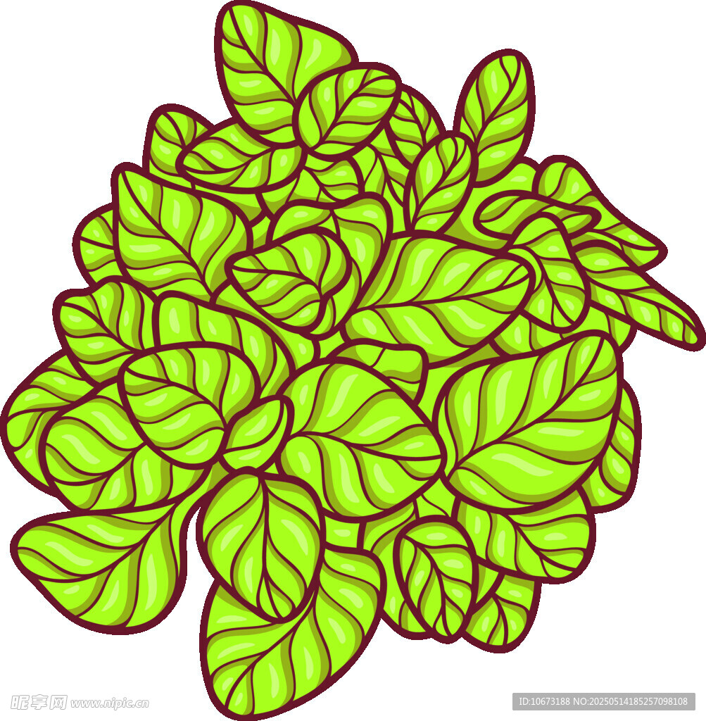翠绿叶片植物插画