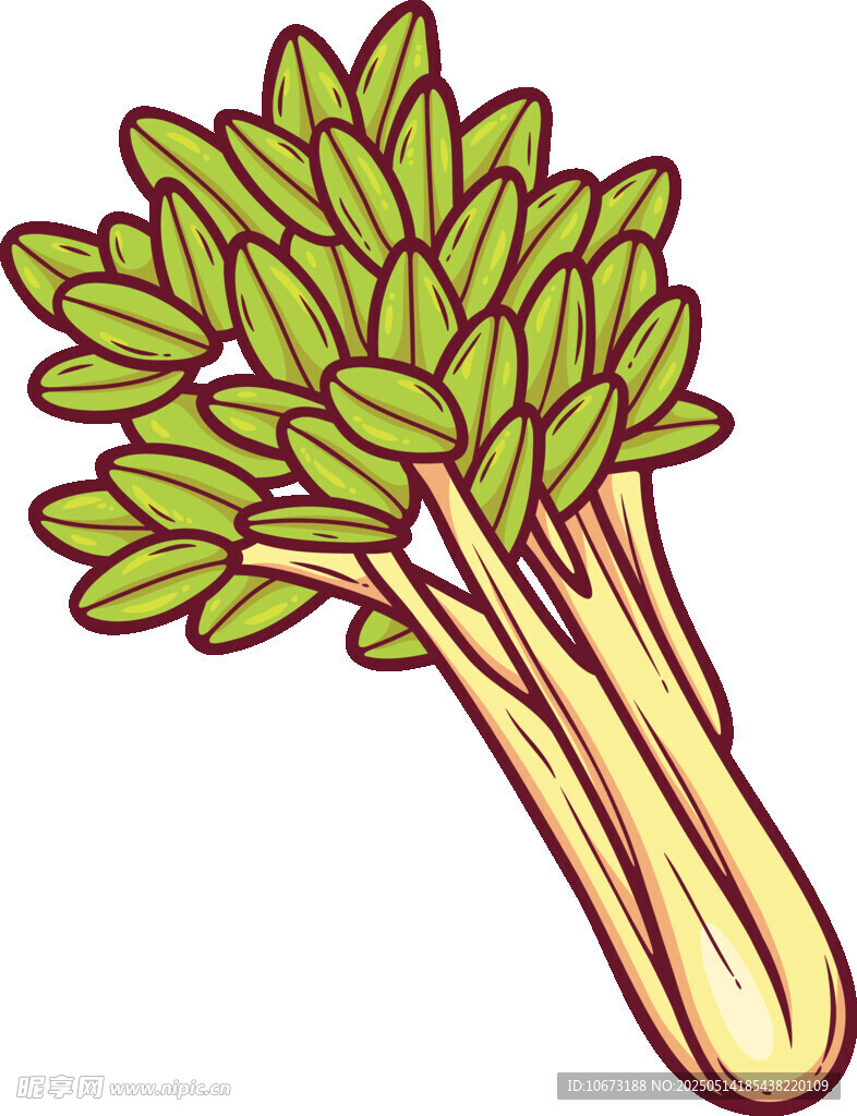 卡通芹菜插画