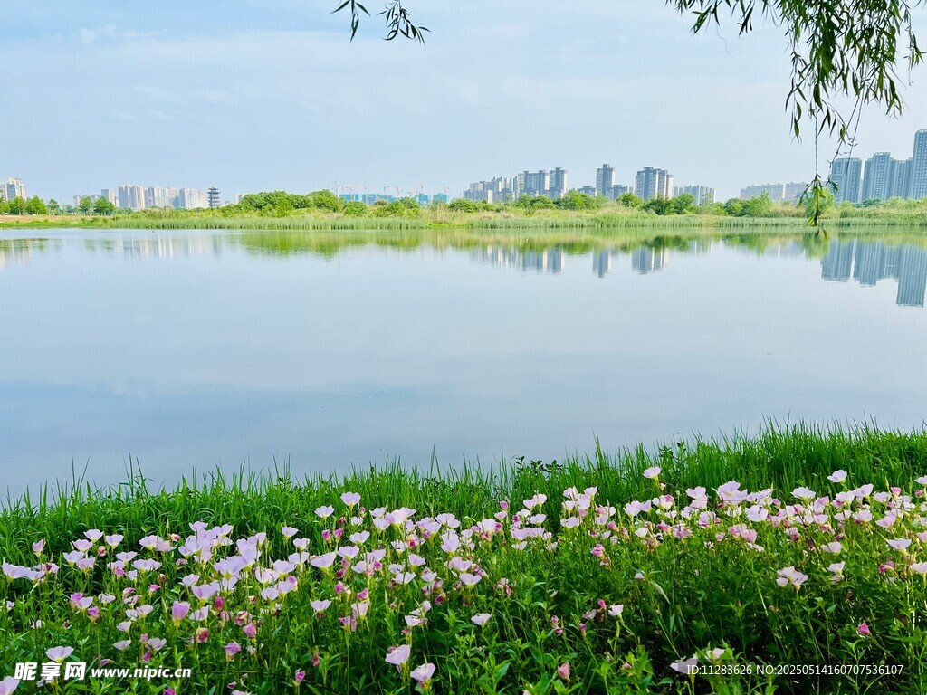 湖畔繁花映景
