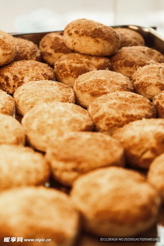 美味烘焙饼干整齐排列
