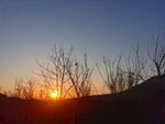 夕阳