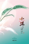 小满时节麦穗插画