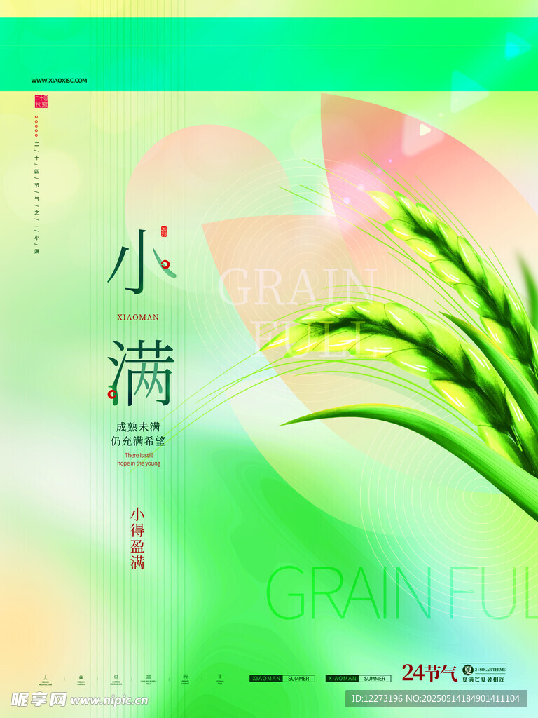 小满节气清新插画海报