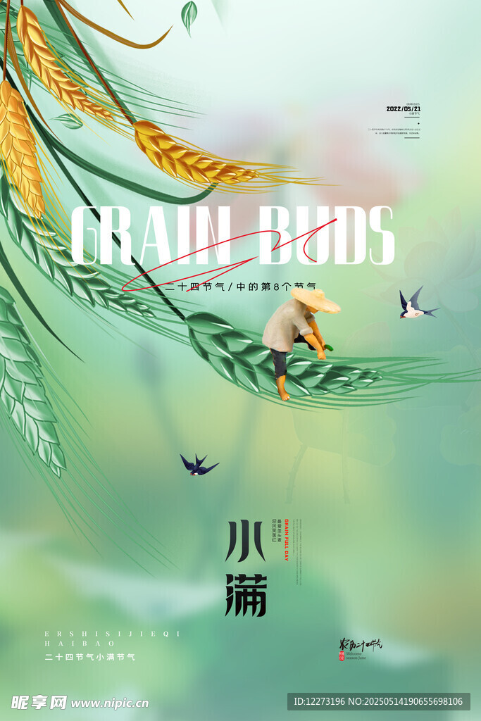 小满时节田园诗意景象