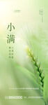小满时节清新植物景象