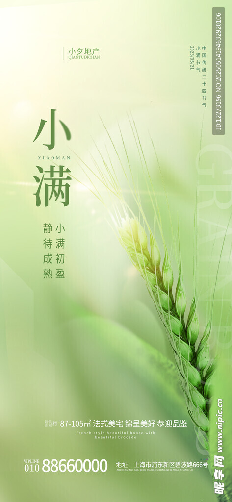 小满时节清新植物景象