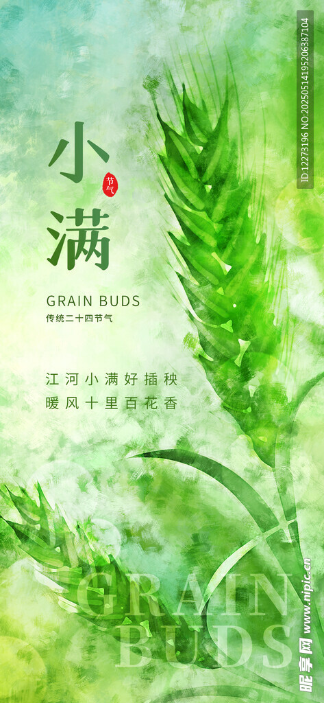 清新小满节气插画海报