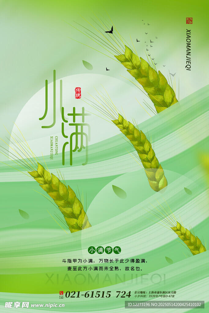 小满时节麦穗插画海报