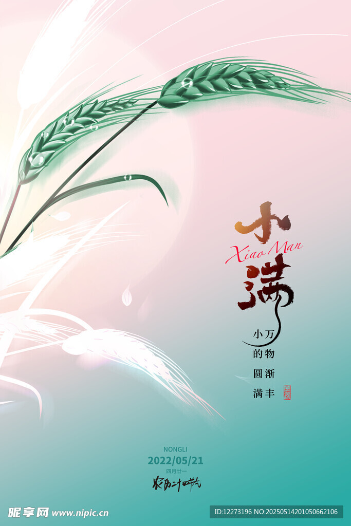 小满时节麦穗插画