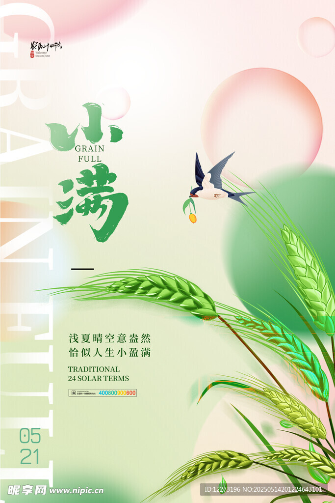 小满时节飞鸟伴麦穗图