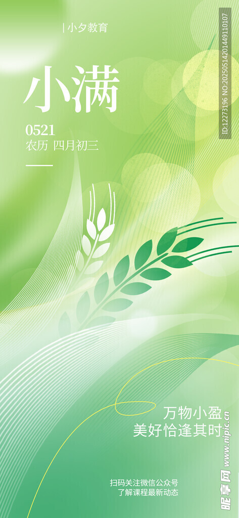 清新小满节气主题插画