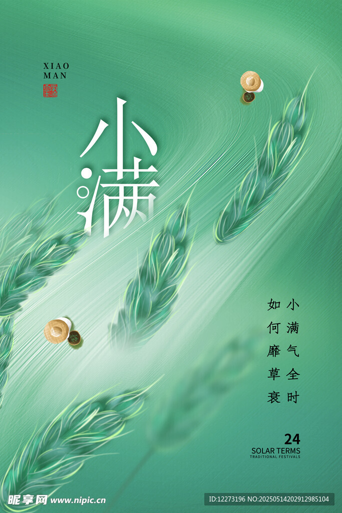 小满时节麦穗与麦粒图景