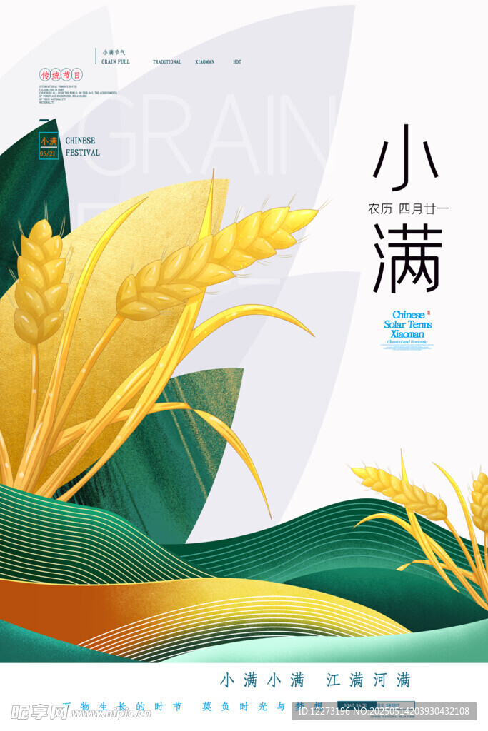 小满时节麦穗金黄插画