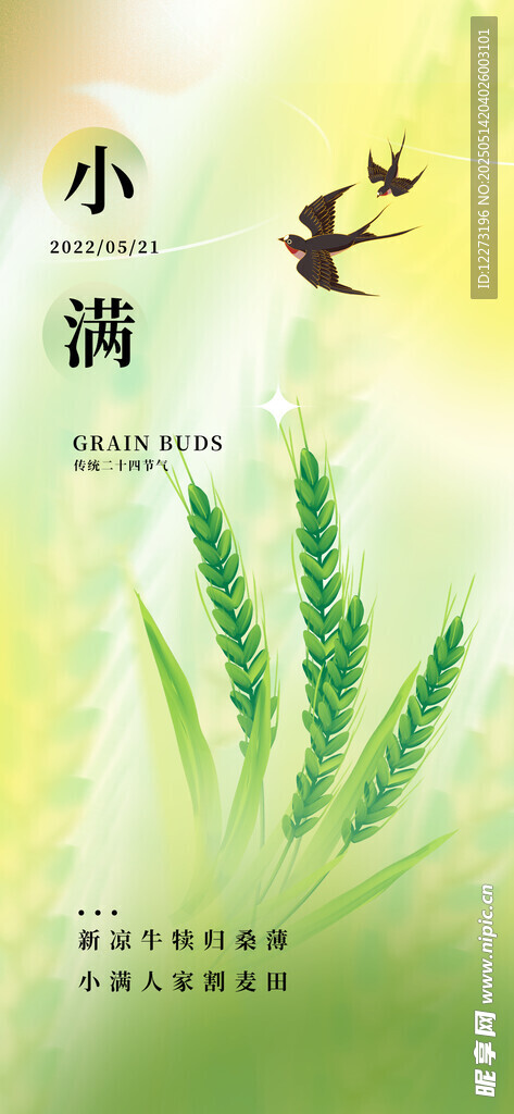 小满时节绿意与飞鸟