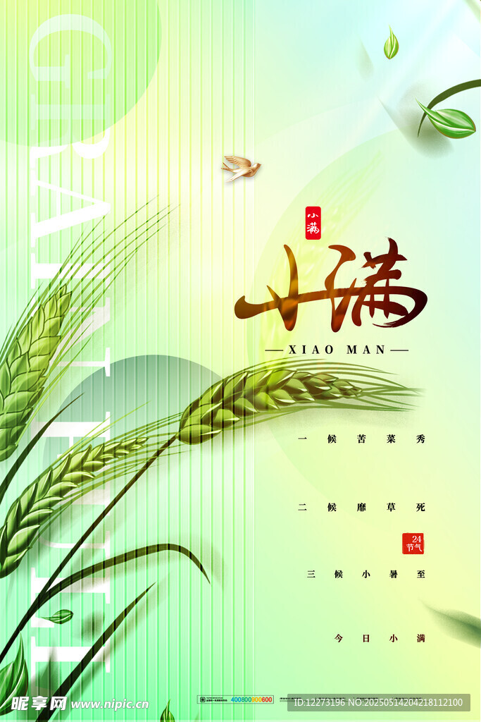小满时节日历插画