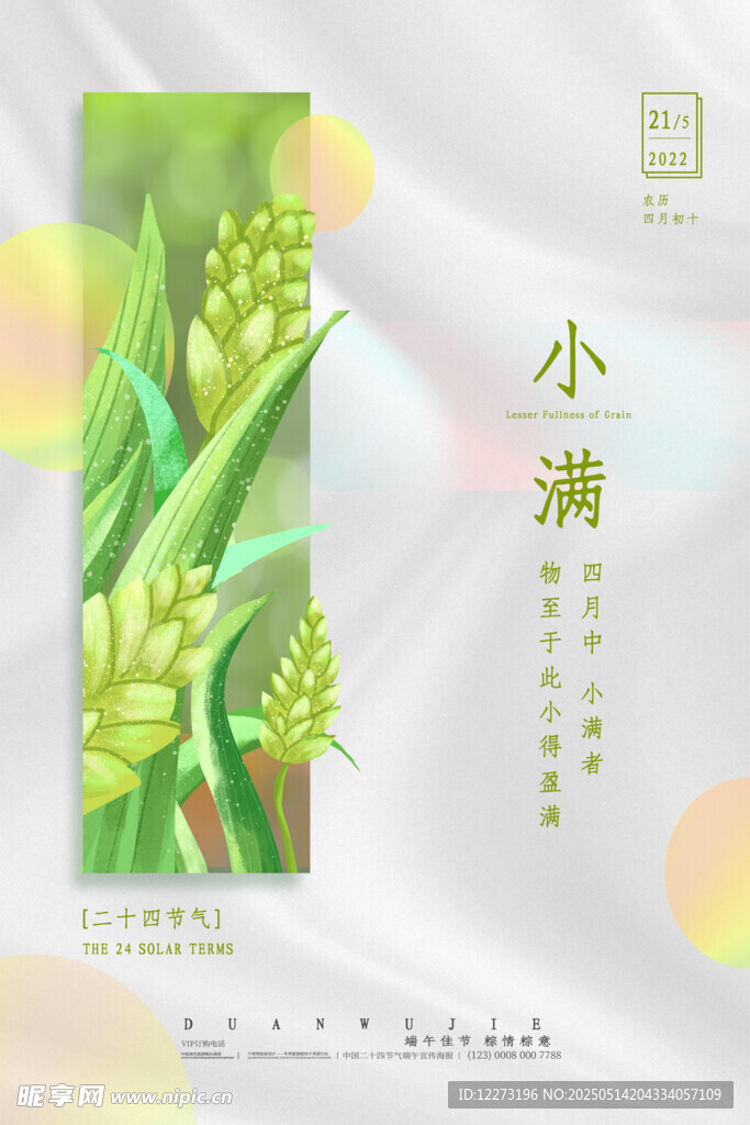 小满时节麦穗图