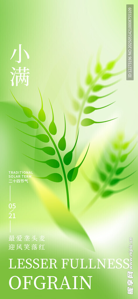 清新小满麦穗绿意画面
