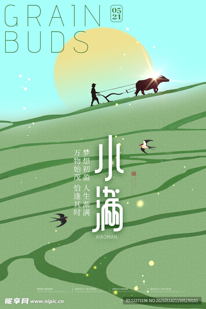 小满时节田园牧耕景象