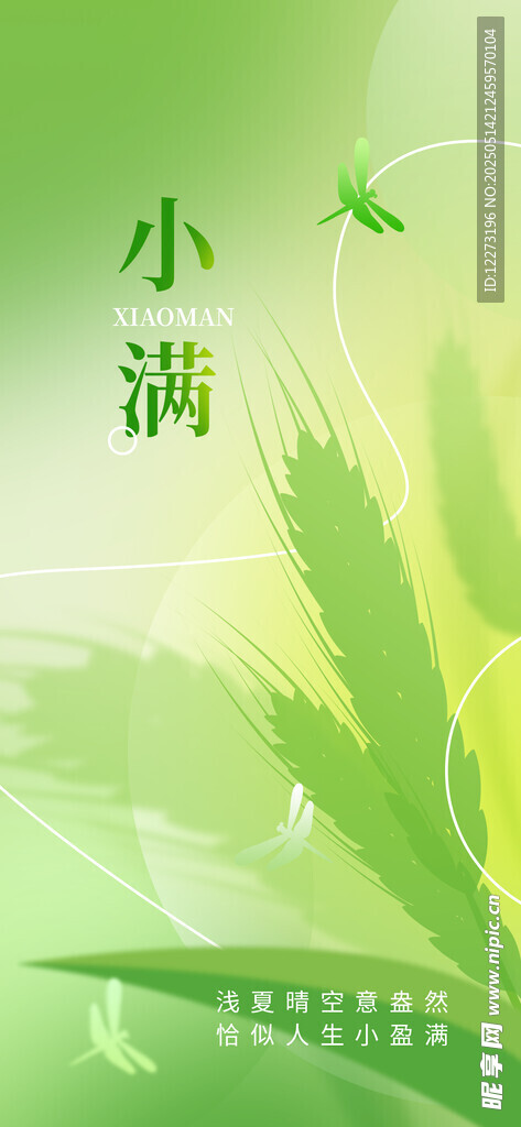清新小满节气插画图