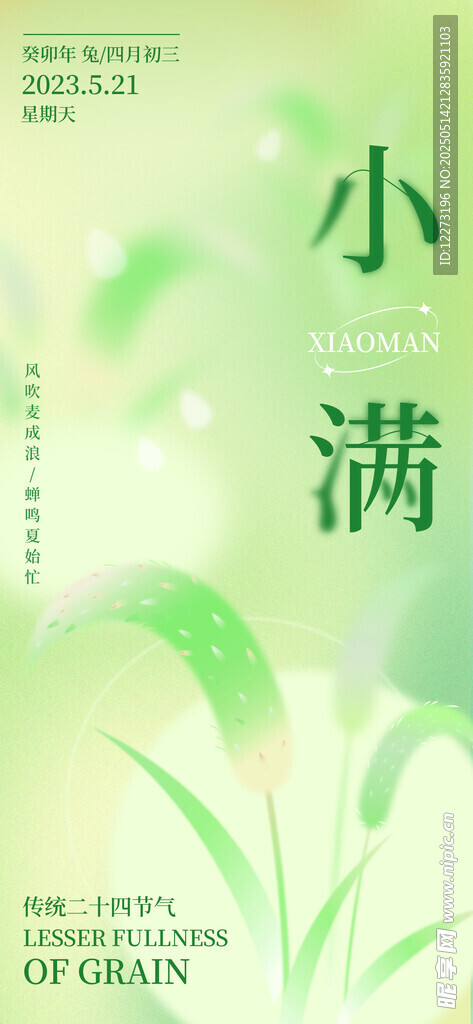 小满时节清新绿意画面