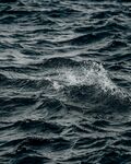 海浪