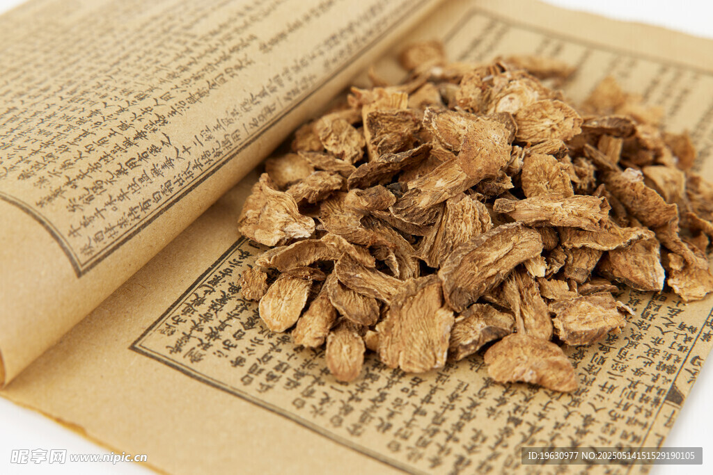 中药材牛蒡根