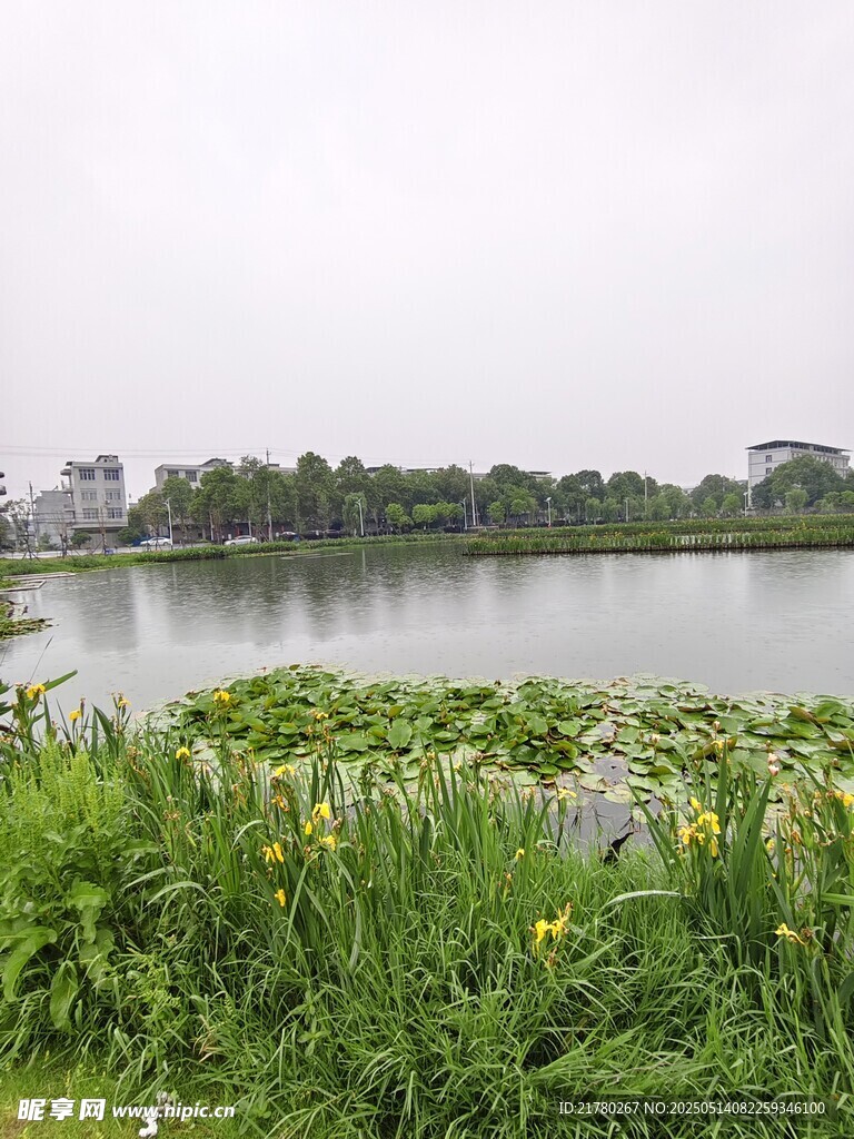 湖畔绿植环绕的宁静水域