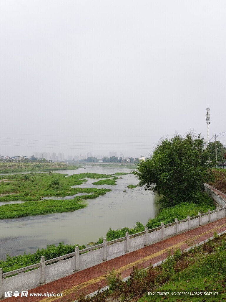 乡村河畔风景