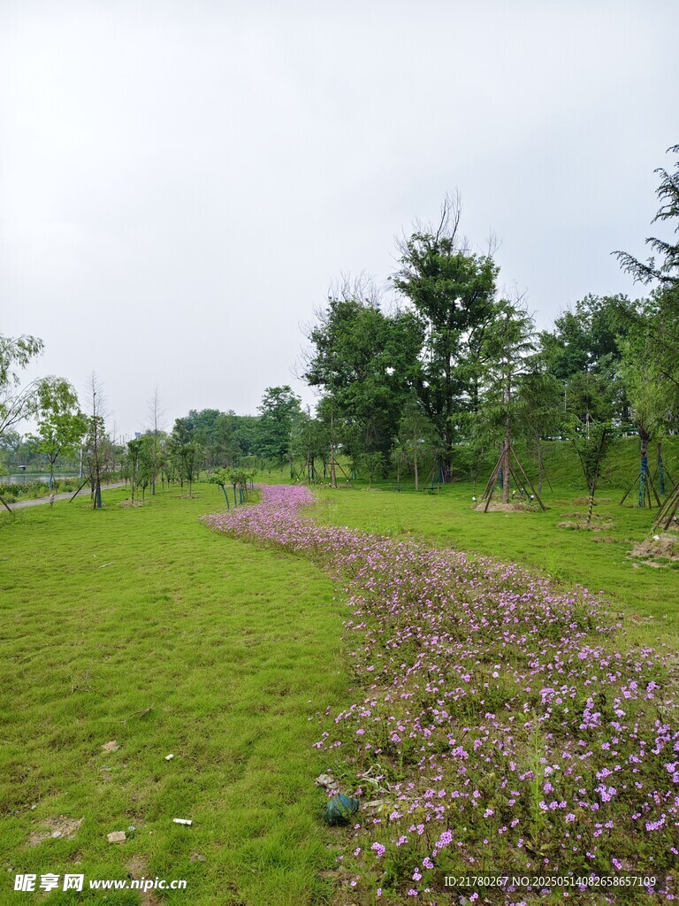 绿草繁花的美丽户外景致