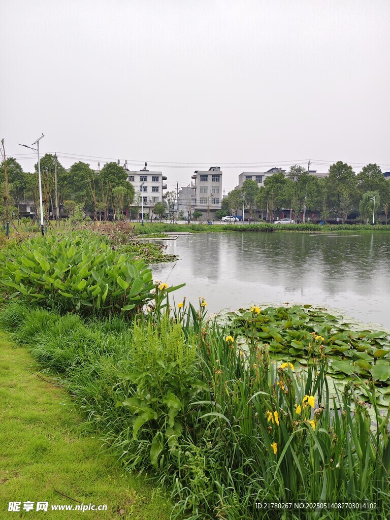 湖畔绿植环绕的宁静风光