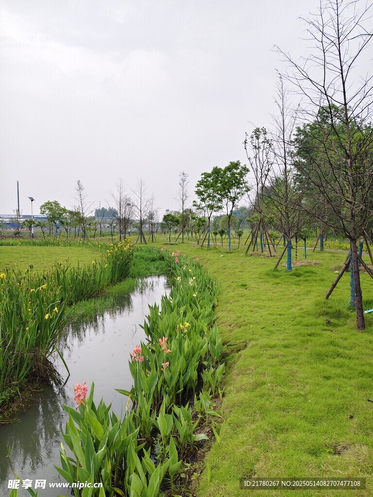田园小河畔的清新景致