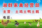 家禽经营部