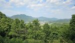 山林绿意 远处山峦美景