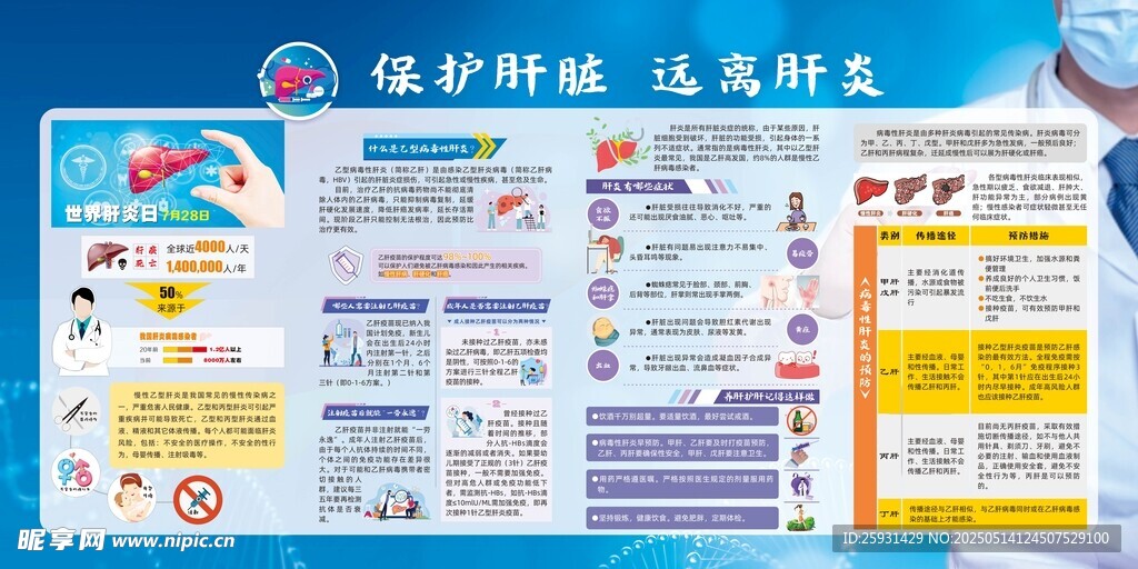 保护肝脏 远离肝炎