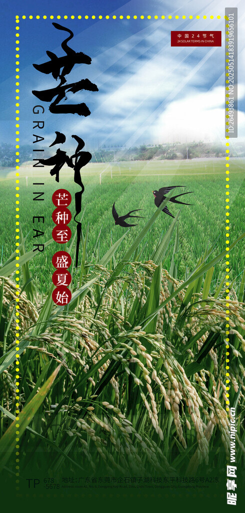 芒种海报