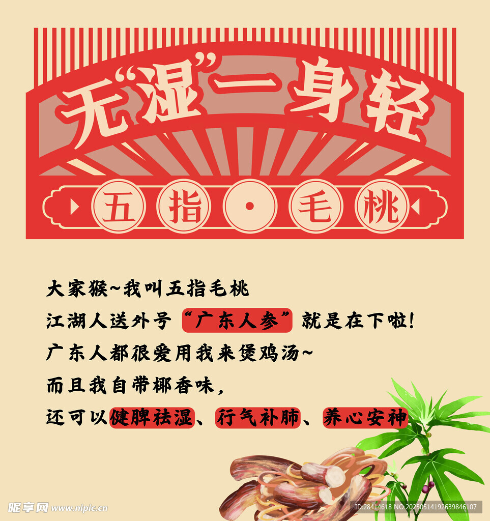 五指毛桃