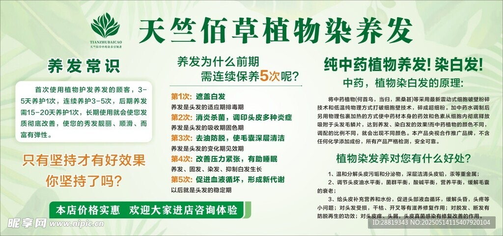 天竺佰草植物染发