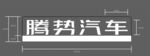 腾势汽车标识展示
