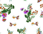 花卉蝴蝶图案精美插画