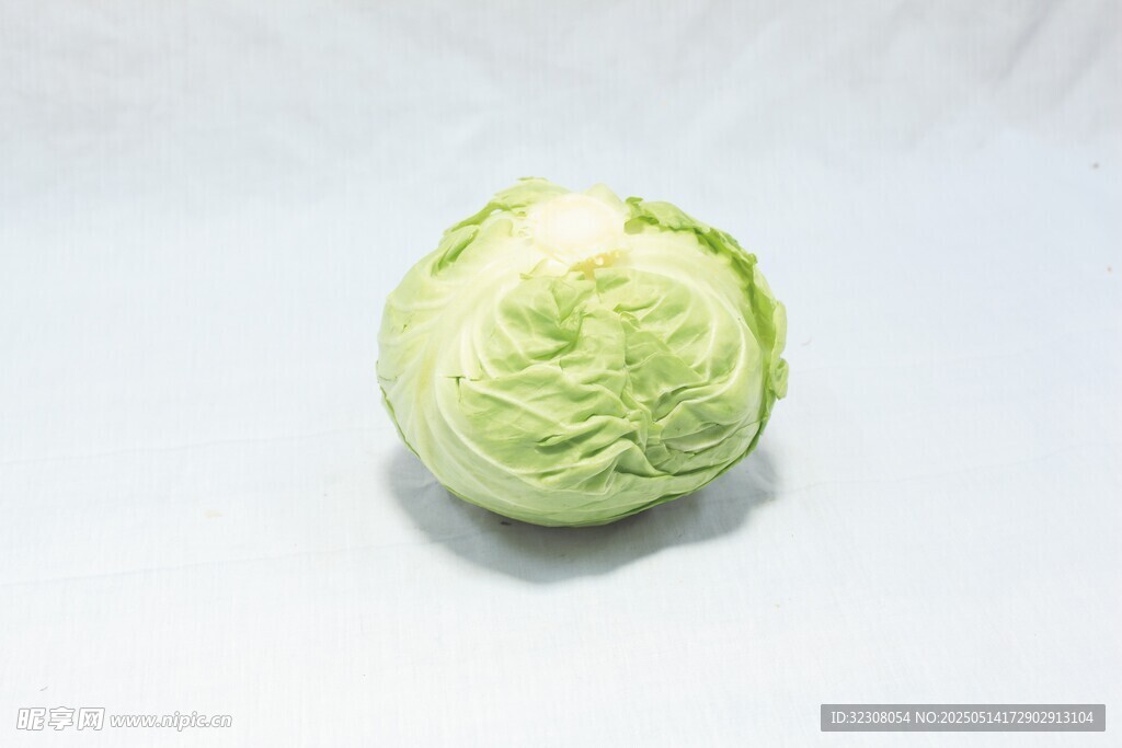新鲜圆白菜