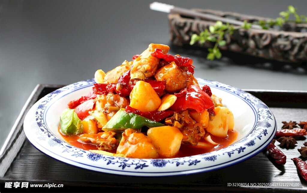 美味红烧菜肴摆于盘中
