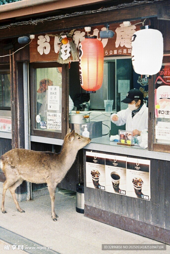小鹿在日式店铺前驻足