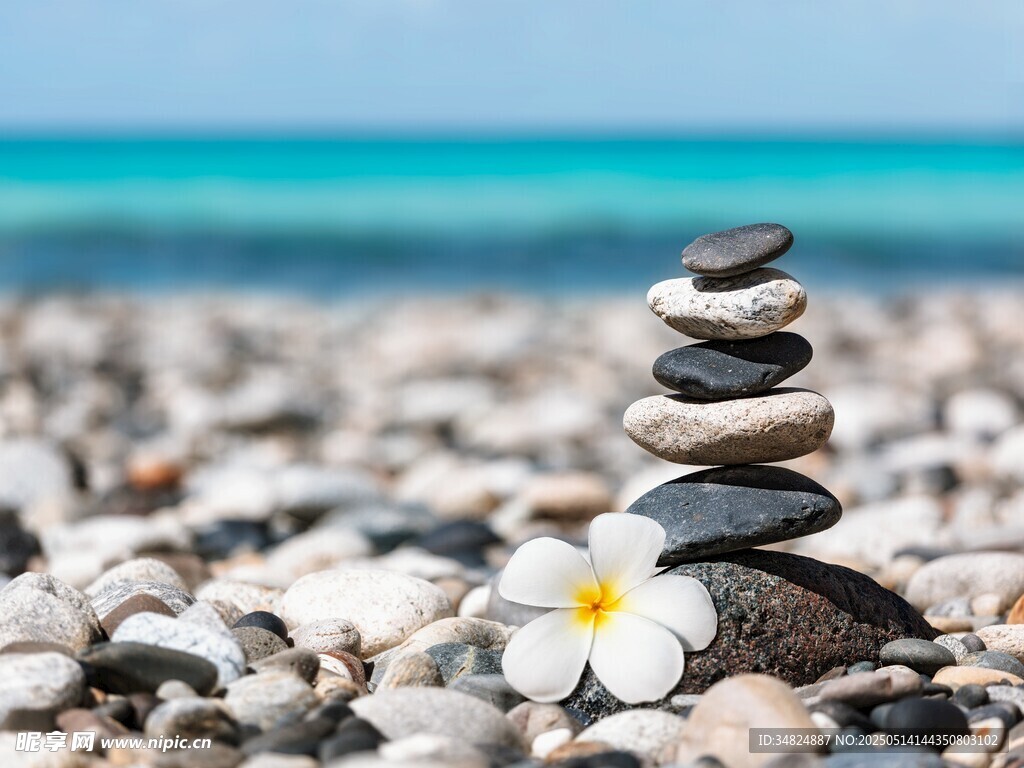 海边石堆与小花的静谧景致