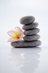 禅意堆叠石与娇艳鸡蛋花