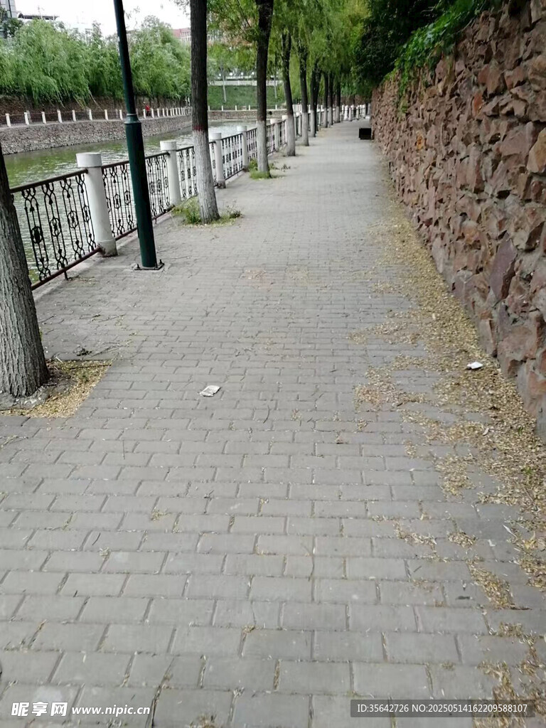 河边幽静砖石步道