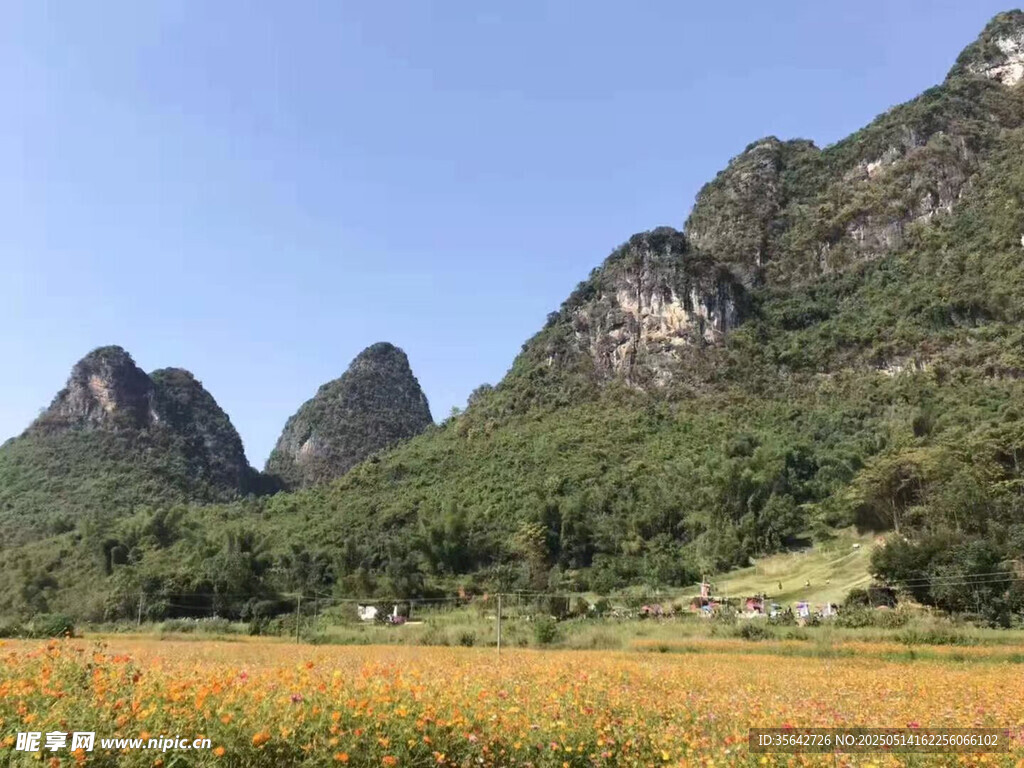 山间花海与秀丽峰林景色