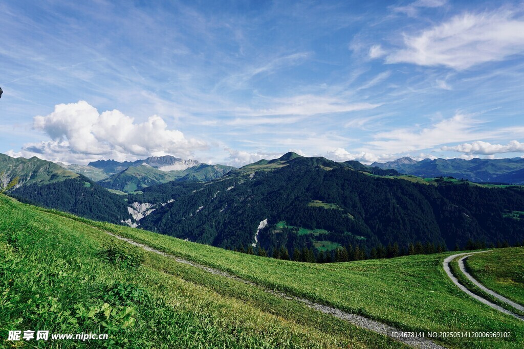 山间绿野公路美景