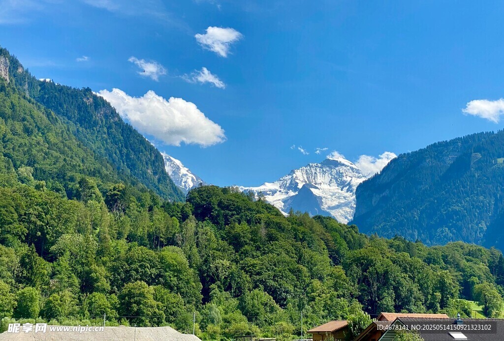 壮丽山景与葱郁森林